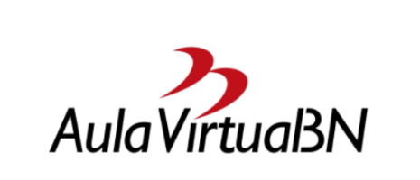 Aula Virtual BN
