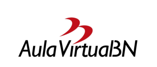 Resumen de configuración del registro | Aula Virtual BN
